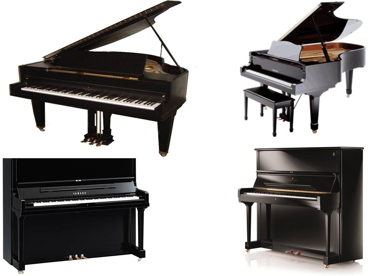 Grand Piano on rent in Jodhpur